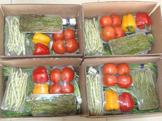 蔬菜礼盒包装